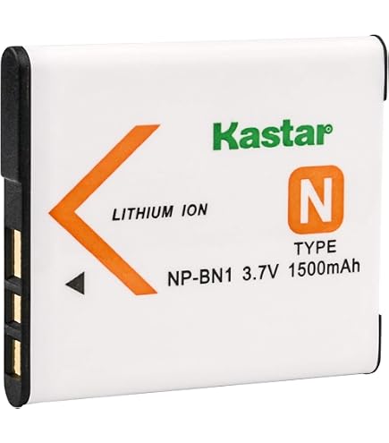 Amazon.com : Rechargeable Li-ion Battery (2-Pack) for Sony